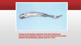 Fórceps de premolares superiores. Sus caras internas son
cóncavas para adaptarse mejor a las caras convexas de la corona
dentaria. Sus dimensiones oscilan entre 5 y 7 mm.
 