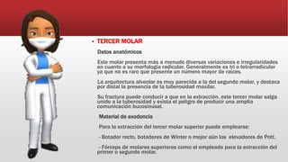  TERCER MOLAR
Datos anatómicos
Este molar presenta más a menudo diversas variaciones e irregularidades
en cuanto a su morfología radicular. Generalmente es tri o tetrarradicular
ya que no es raro que presente un número mayor de raíces.
La arquitectura alveolar es muy parecida a la del segundo molar, y destaca
por distal la presencia de la tuberosidad maxilar.
Su fractura puede conducir a que en la extracción, este tercer molar salga
unido a la tuberosidad y exista el peligro de producir una amplia
comunicación bucosinusal.
Material de exodoncia
Para la extracción del tercer molar superior puede emplearse:
- Botador recto, botadores de Winter o mejor aún los elevadores de Pott.
- Fórceps de molares superiores como el empleado para la extracción del
primer o segundo molar.
 