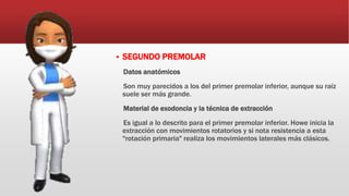  SEGUNDO PREMOLAR
Datos anatómicos
Son muy parecidos a los del primer premolar inferior, aunque su raíz
suele ser más grande.
Material de exodoncia y la técnica de extracción
Es igual a lo descrito para el primer premolar inferior. Howe inicia la
extracción con movimientos rotatorios y si nota resistencia a esta
"rotación primaria" realiza los movimientos laterales más clásicos.
 