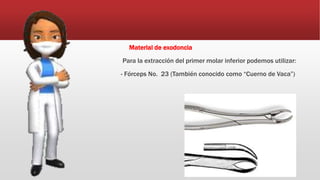 Material de exodoncia
Para la extracción del primer molar inferior podemos utilizar:
- Fórceps No. 23 (También conocido como “Cuerno de Vaca”)
 