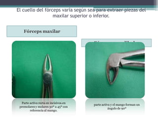 El cuello del fórceps varía según sea para extraer piezas del
maxilar superior o inferior.
Fórceps maxilar
Fórceps mandibular
Parte activa recta en incisivos.en
premolares y molares 30º a 45º con
referencia al mango.
parte activa y el mango forman un
ángulo de 90º
 
