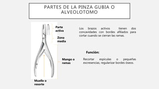 PARTES DE LA PINZA GUBIA O
ALVEOLOTOMO
Los brazos activos tienen dos
concavidades con bordes afiliados para
cortar cuando se cierran las ramas.
Recortar espículas o pequeñas
excresencias, regularizar bordes óseos.
Función:
Parte
activa
Zona
media
Mango o
ramas
Muelle o
resorte
 