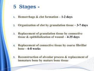 1. Hemorrhage & clot formation – 1-2 days
2. Organization of clot by granulation tissue – 3-7 days
3. Replacement of granulation tissue by connective
tissue & epithilialization of wound – 4-35 days
4. Replacement of connective tissue by coarse fibrillar
bone – 6-8 weeks
5. Reconstruction of alveolar process & replacement of
immature bone by mature bone tissue
 