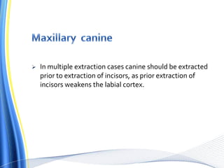  In multiple extraction cases canine should be extracted
prior to extraction of incisors, as prior extraction of
incisors weakens the labial cortex.
 