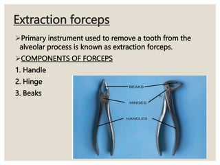 Extraction forceps
Primary instrument used to remove a tooth from the
alveolar process is known as extraction forceps.
COMPONENTS OF FORCEPS
1. Handle
2. Hinge
3. Beaks
 