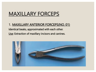 MAXILLARY FORCEPS
1. MAXILLARY ANTERIOR FORCEPS(NO. 01)
Identical beaks, approximated with each other.
Use: Extraction of maxillary incisors and canines.
 