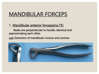 MANDIBULAR FORCEPS
1. Mandibular anterior forceps(no.75)
Beaks are perpendicular to handle, identical and
approximating each other.
use: Extraction of mandibular incisors and canines
 