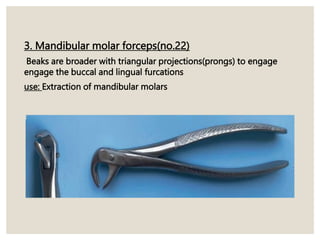 3. Mandibular molar forceps(no.22)
Beaks are broader with triangular projections(prongs) to engage
engage the buccal and lingual furcations
use: Extraction of mandibular molars
 