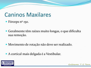 Caninos Maxilares
 Fórceps nº 150.


 Geralmente têm raízes muito longas, o que dificulta
  sua remoção.

 Movimento de rotação não deve ser realizado.


 A cortical mais delgada é a Vestibular.
 