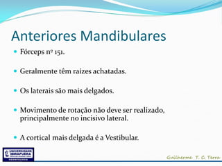 Anteriores Mandibulares
 Fórceps nº 151.

 Geralmente têm raízes achatadas.

 Os laterais são mais delgados.

 Movimento de rotação não deve ser realizado,
  principalmente no incisivo lateral.

 A cortical mais delgada é a Vestibular.
 
