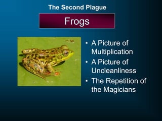 Frogs
• A Picture of
Multiplication
• A Picture of
Uncleanliness
• The Repetition of
the Magicians
The Second Plague
 