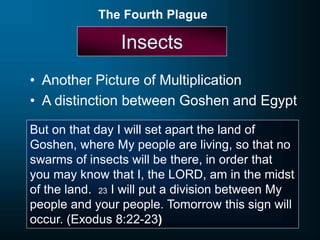 Insects
• Another Picture of Multiplication
• A distinction between Goshen and Egypt
The Fourth Plague
But on that day I will set apart the land of
Goshen, where My people are living, so that no
swarms of insects will be there, in order that
you may know that I, the LORD, am in the midst
of the land. 23 I will put a division between My
people and your people. Tomorrow this sign will
occur. (Exodus 8:22-23)
 