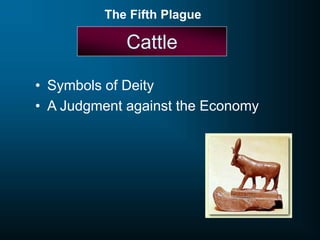 Cattle
• Symbols of Deity
• A Judgment against the Economy
The Fifth Plague
 