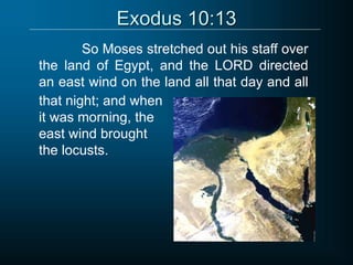 Exodus 10:13
So Moses stretched out his staff over
the land of Egypt, and the LORD directed
an east wind on the land all that day and all
s
that night; and when
it was morning, the
east wind brought
the locusts.
 