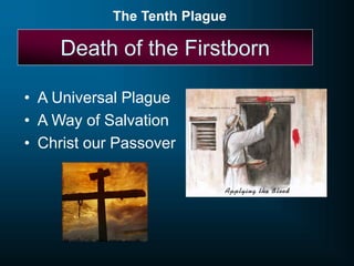 Death of the Firstborn
• A Universal Plague
• A Way of Salvation
• Christ our Passover
The Tenth Plague
 