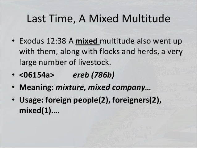 Image result for mixed multitude in the bible