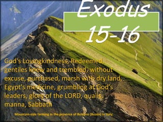 Exodus
15-16
Mountain-side farming in the province of Bolzano (Bozen) in Italy.
God's Lovingkindness, Redeemed,
gentiles knew and trembled, without
excuse, purchased, marsh with dry land,
Egypt's medicine, grumbling at God’s
leaders, glory of the LORD, quails,
manna, Sabbath
 