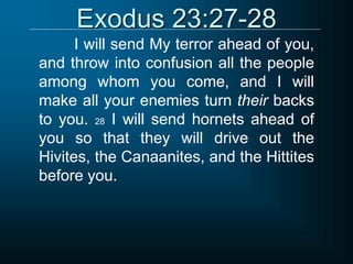 Exodus 23:27-28
I will send My terror ahead of you,
and throw into confusion all the people
among whom you come, and I will
make all your enemies turn their backs
to you. 28 I will send hornets ahead of
you so that they will drive out the
Hivites, the Canaanites, and the Hittites
before you.
 