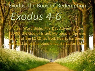 Exodus The Book Of Redemption
Clear Word Bible, 7th Day Adventist, the
LORD, the God of Israel, My people, the eye,
anger of the LORD, as God, hearts hardened,
delayed or partial obedience, Salvation Order
Exodus 4-6
 