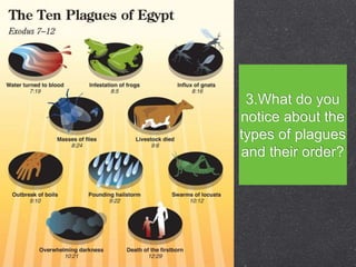 3.What do you
notice about the
types of plagues
and their order?
 