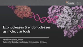 Exonucleases & endonucleases
as molecular tools
Andrew Gardner, Ph.D.
Scientific Director, Molecular Enzymology Division
 