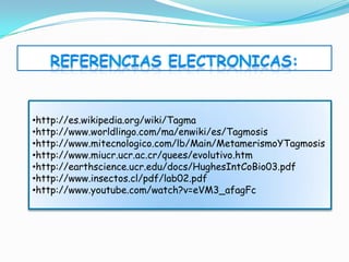 •http://es.wikipedia.org/wiki/Tagma
•http://www.worldlingo.com/ma/enwiki/es/Tagmosis
•http://www.mitecnologico.com/lb/Main/MetamerismoYTagmosis
•http://www.miucr.ucr.ac.cr/quees/evolutivo.htm
•http://earthscience.ucr.edu/docs/HughesIntCoBio03.pdf
•http://www.insectos.cl/pdf/lab02.pdf
•http://www.youtube.com/watch?v=eVM3_afagFc
 