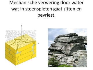 Mechanische verwering door water
wat in steenspleten gaat zitten en
bevriest.
 