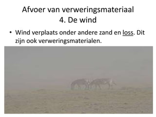 Afvoer van verweringsmateriaal
4. De wind
• Wind verplaats onder andere zand en loss. Dit
zijn ook verweringsmaterialen.
 