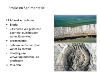 Erosie en Sedimentatie
 Afbraak en opbouw
 Erosie:
• uitschuren van gesteente
door met puin beladen
water, ijs en wind
 Sedimentatie:
• opbouw landschap door
water, ijs en wind
• afzetting van
verweringsmateriaal en
erosiepuin
o fossielen
 