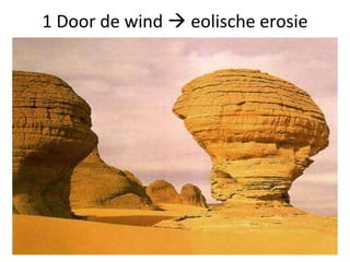 1 Door de wind  eolische erosie
 