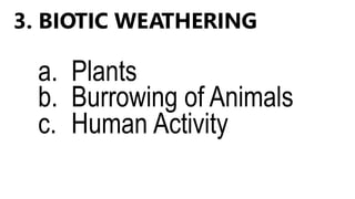 3. BIOTIC WEATHERING
a. Plants
b. Burrowing of Animals
c. Human Activity
 