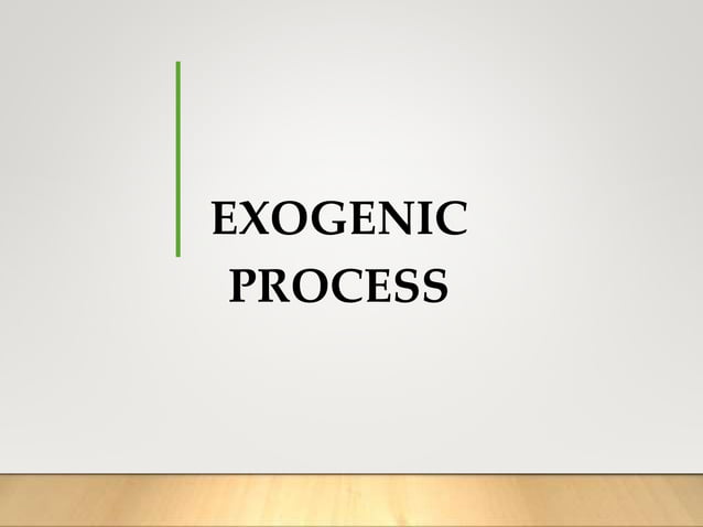 Exogenic_Process.pptx