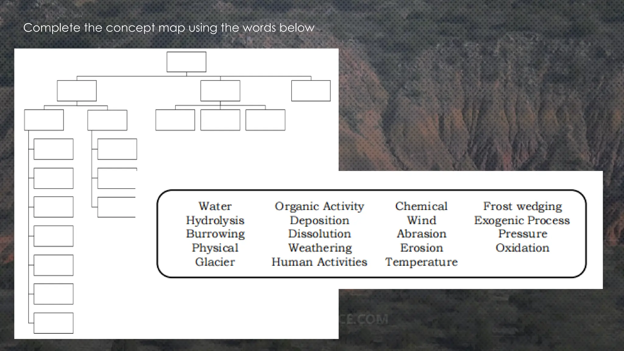 Complete the concept map using the words below
 