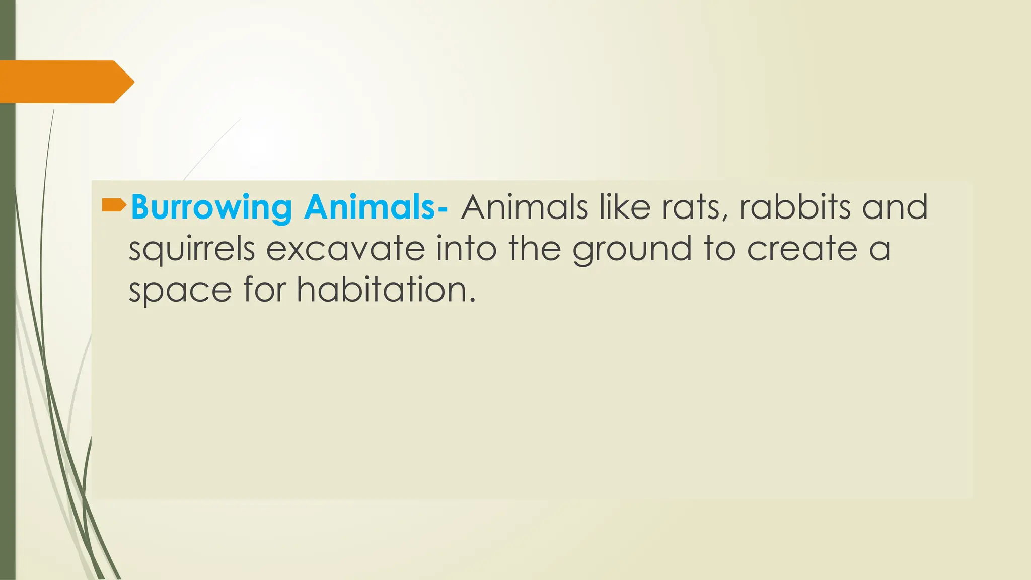 Burrowing Animals- Animals like rats, rabbits and
squirrels excavate into the ground to create a
space for habitation.
 