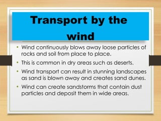 • Wind continuously blows away loose particles of
rocks and soil from place to place.
• This is common in dry areas such as deserts.
• Wind transport can result in stunning landscapes
as sand is blown away and creates sand dunes.
• Wind can create sandstorms that contain dust
particles and deposit them in wide areas.
Transport by the
wind
 
