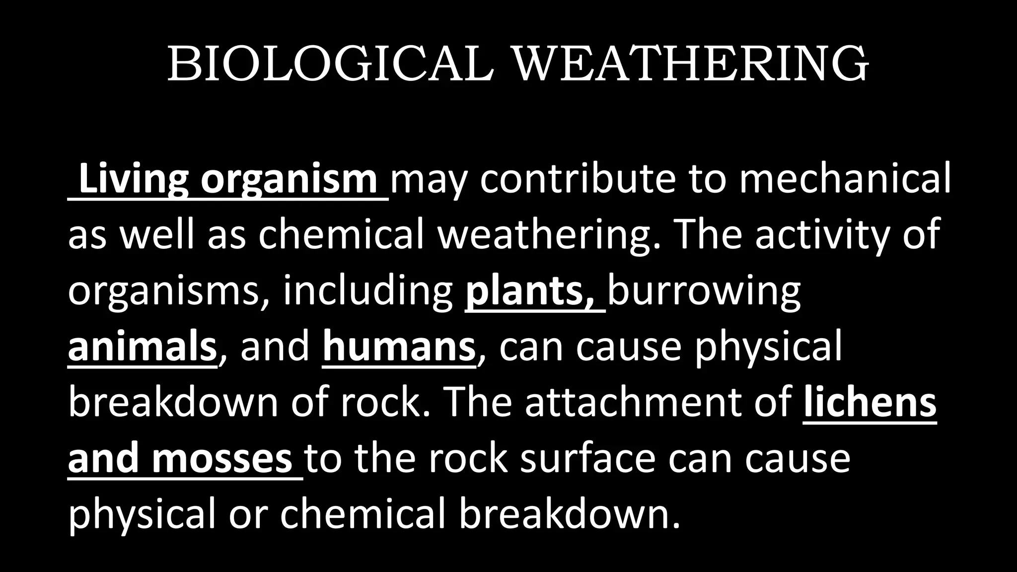 BIOLOGICAL WEATHERING
Living organism may contribute to mechanical
as well as chemical weathering. The activity of
organisms, including plants, burrowing
animals, and humans, can cause physical
breakdown of rock. The attachment of lichens
and mosses to the rock surface can cause
physical or chemical breakdown.
 