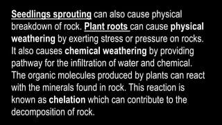 Seedlings sprouting can also cause physical
breakdown of rock. Plant roots can cause physical
weathering by exerting stress or pressure on rocks.
It also causes chemical weathering by providing
pathway for the infiltration of water and chemical.
The organic molecules produced by plants can react
with the minerals found in rock. This reaction is
known as chelation which can contribute to the
decomposition of rock.
 