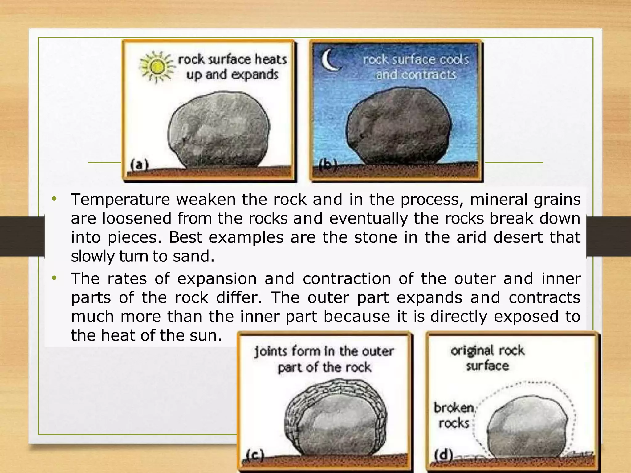 • Temperature weaken the rock and in the process, mineral grains
are loosened from the rocks and eventually the rocks break down
into pieces. Best examples are the stone in the arid desert that
slowly turn to sand.
• The rates of expansion and contraction of the outer and inner
parts of the rock differ. The outer part expands and contracts
much more than the inner part because it is directly exposed to
the heat of the sun.
 