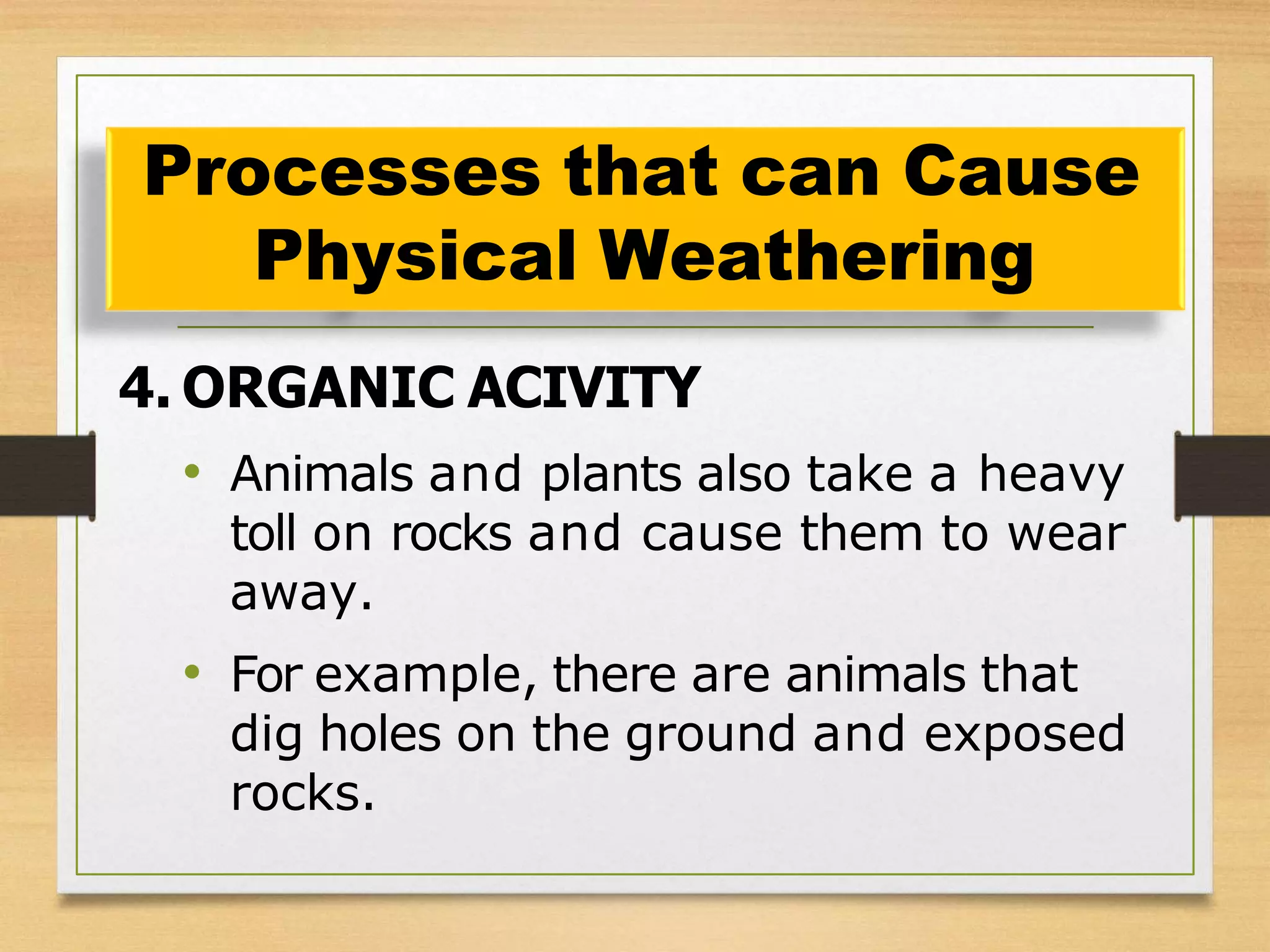4. ORGANIC ACIVITY
• Animals and plants also take a heavy
toll on rocks and cause them to wear
away.
• For example, there are animals that
dig holes on the ground and exposed
rocks.
Processes that can Cause
Physical Weathering
 