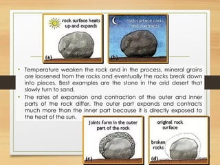 • Temperature weaken the rock and in the process, mineral grains
are loosened from the rocks and eventually the rocks break down
into pieces. Best examples are the stone in the arid desert that
slowly turn to sand.
• The rates of expansion and contraction of the outer and inner
parts of the rock differ. The outer part expands and contracts
much more than the inner part because it is directly exposed to
the heat of the sun.
 