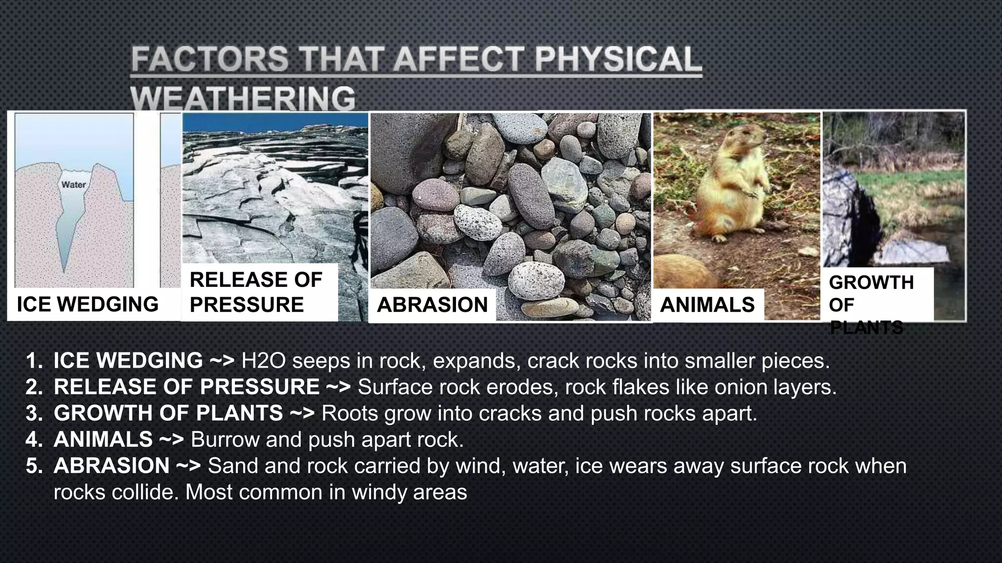 ICE WEDGING
ICE WEDGING
GROWTH
OF
RELEASE OF
PRESSURE ABRASION ANIMALS
PLANTS
1. ICE WEDGING ~> H2O seeps in rock, expands, crack rocks into smaller pieces.
2. RELEASE OF PRESSURE ~> Surface rock erodes, rock flakes like onion layers.
3. GROWTH OF PLANTS ~> Roots grow into cracks and push rocks apart.
4. ANIMALS ~> Burrow and push apart rock.
5. ABRASION ~> Sand and rock carried by wind, water, ice wears away surface rock when
rocks collide. Most common in windy areas
 