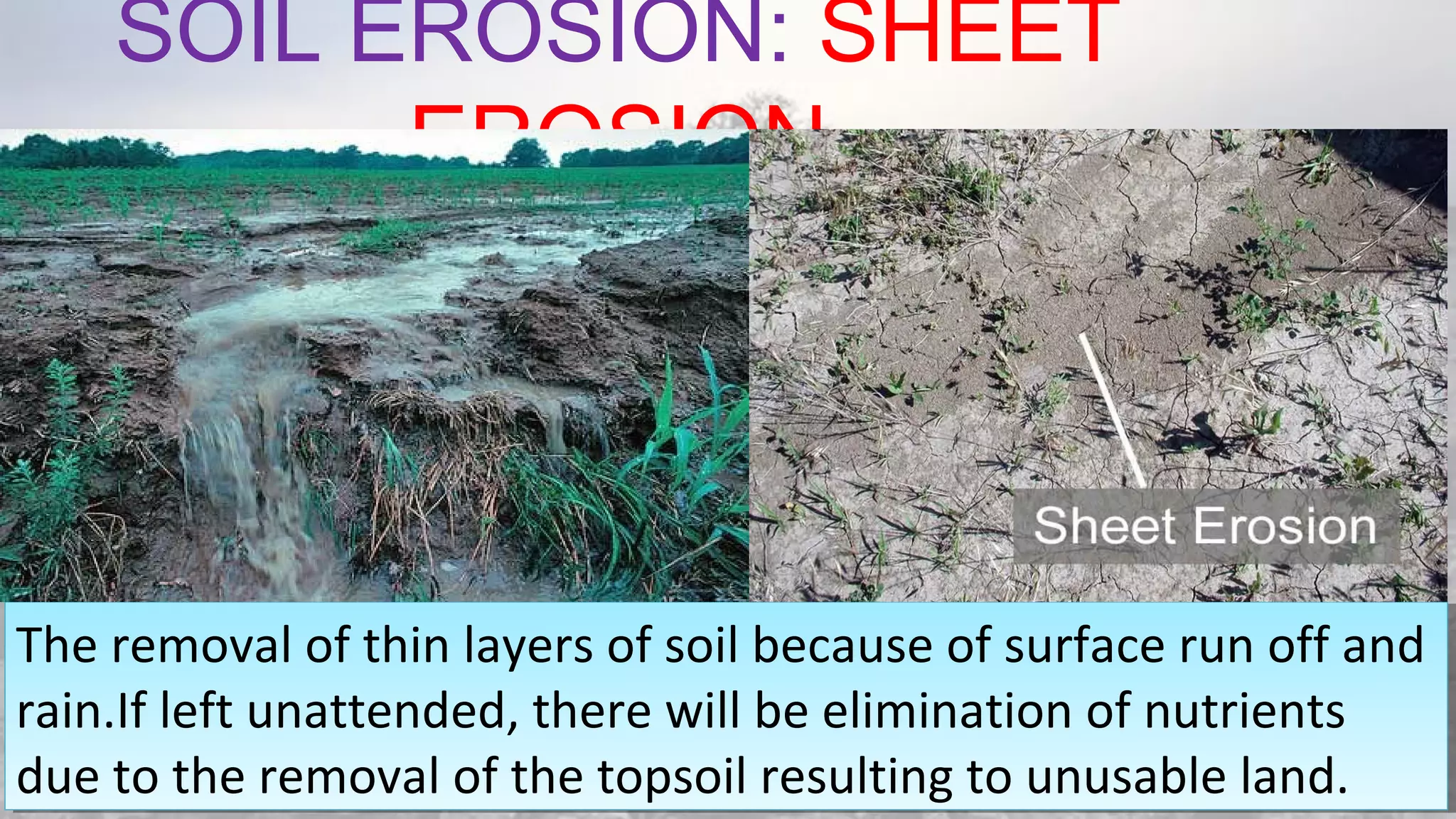 SOIL EROSION: SHEET
EROSION
08/04/19
The removal of thin layers of soil because of surface run off and
rain.If left unattended, there will be elimination of nutrients
due to the removal of the topsoil resulting to unusable land.
The removal of thin layers of soil because of surface run off and
rain.If left unattended, there will be elimination of nutrients
due to the removal of the topsoil resulting to unusable land.
 