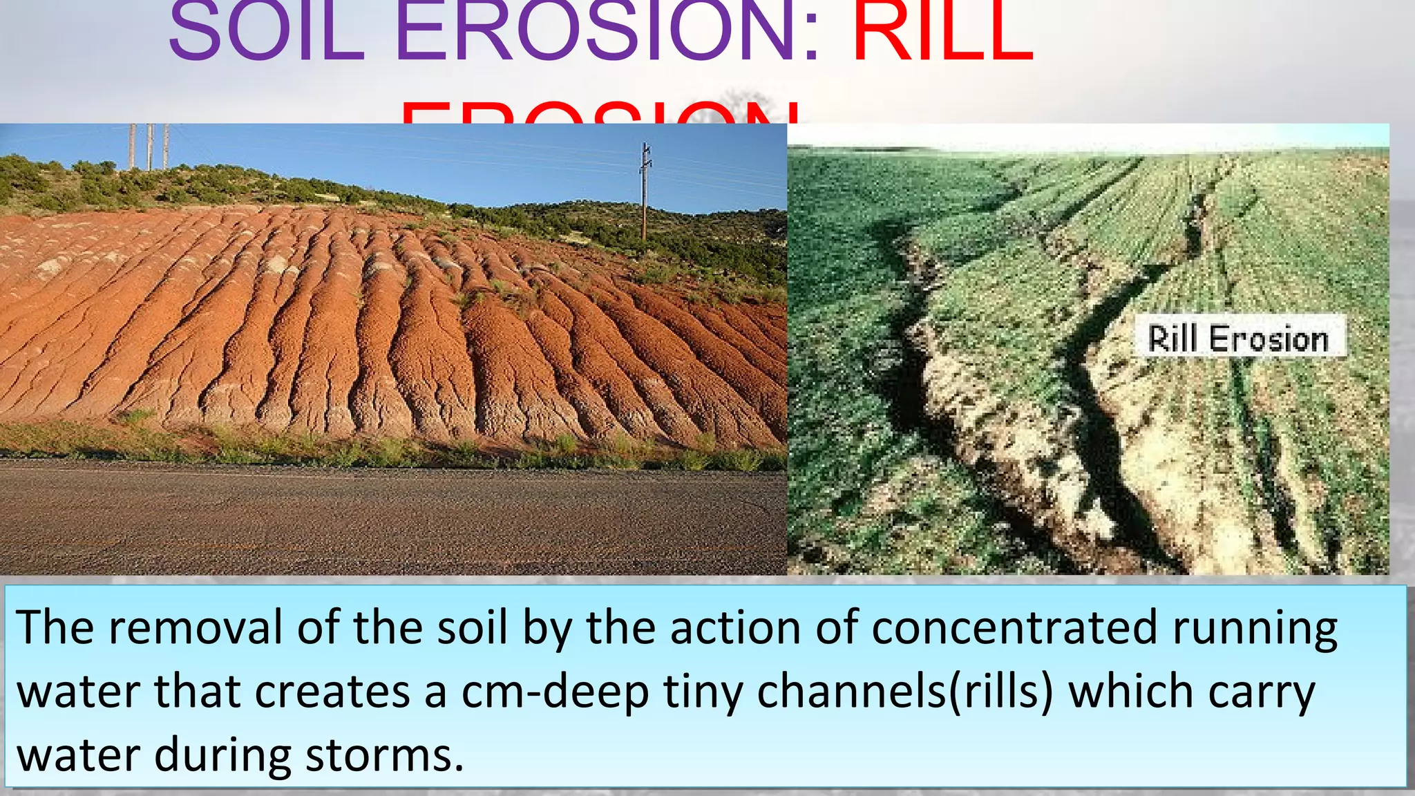 SOIL EROSION: RILL
EROSION
08/04/19
The removal of the soil by the action of concentrated running
water that creates a cm-deep tiny channels(rills) which carry
water during storms.
The removal of the soil by the action of concentrated running
water that creates a cm-deep tiny channels(rills) which carry
water during storms.
 