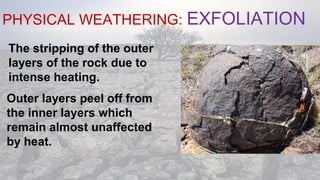 PHYSICAL WEATHERING: EXFOLIATION
08/04/19
The stripping of the outer
layers of the rock due to
intense heating.
Outer layers peel off from
the inner layers which
remain almost unaffected
by heat.
 