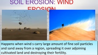 SOIL EROSION: WIND
EROSION
08/04/19
Happens when wind s carry large amount of fine soil particles
and sand away from a region, spreading it over adjoining
cultivated land and destroying their fertility.
Happens when wind s carry large amount of fine soil particles
and sand away from a region, spreading it over adjoining
cultivated land and destroying their fertility.
 