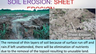 SOIL EROSION: SHEET
EROSION
08/04/19
The removal of thin layers of soil because of surface run off and
rain.If left unattended, there will be elimination of nutrients
due to the removal of the topsoil resulting to unusable land.
The removal of thin layers of soil because of surface run off and
rain.If left unattended, there will be elimination of nutrients
due to the removal of the topsoil resulting to unusable land.
 