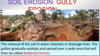 SOIL EROSION: GULLY
EROSION
08/04/19
The removal of the soil in water channels or drainage lines. The
gullies gradually multiply and spread over a wide area that will
then be called badlands/ravines.
The removal of the soil in water channels or drainage lines. The
gullies gradually multiply and spread over a wide area that will
then be called badlands/ravines.
 
