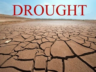 DROUGHT
 