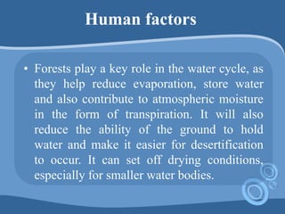 Human factors
• Forests play a key role in the water cycle, as
they help reduce evaporation, store water
and also contribute to atmospheric moisture
in the form of transpiration. It will also
reduce the ability of the ground to hold
water and make it easier for desertification
to occur. It can set off drying conditions,
especially for smaller water bodies.
 