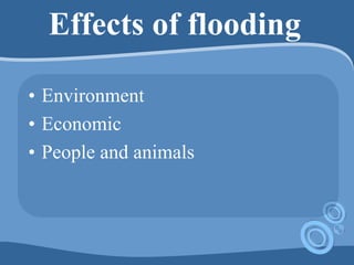 Effects of flooding
• Environment
• Economic
• People and animals
 